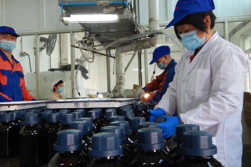 感恩前行 光华科技，不止于中国精细化工50强，深耕生物化工产品技术研发